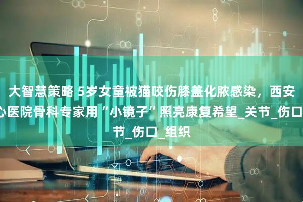 大智慧策略 5岁女童被猫咬伤膝盖化脓感染，西安市中心医院骨科专家用“小镜子”照亮康复希望_关节_伤口_组织